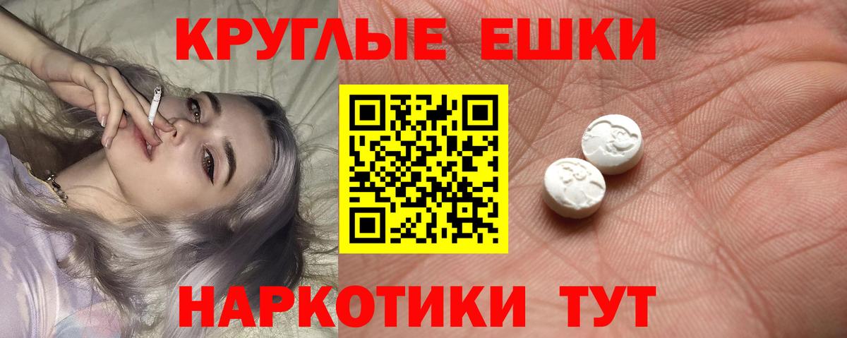 ЭКСТАЗИ бентли Гай