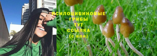 мяу мяу мука Беломорск