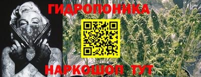 jwh Мариинск