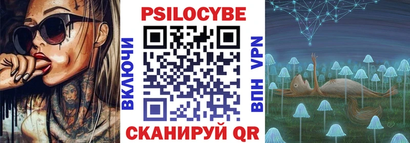 купить наркотик  Гай  Галлюциногенные грибы Psilocybe 