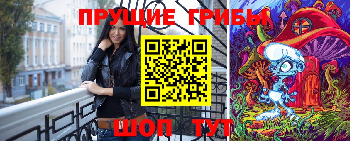 Галлюциногенные грибы Cubensis Гай